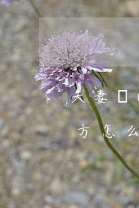 夫妻無(wú)法聯(lián)系上另一方怎么離婚？